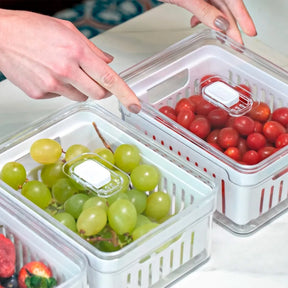 Kit “Organizador de Geladeira Acrílico com Tampa e Drenagem 2,2 L”